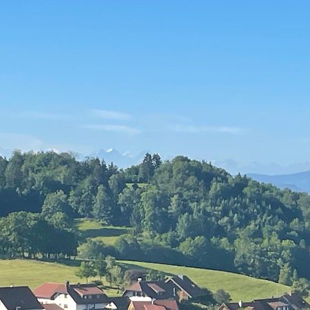 Ferienwohnung Blumenhof - ERHOLUNG PUR, traumhafte Aussicht Zell im Wiesenthal Exterior foto
